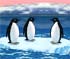 Turbo Penguins