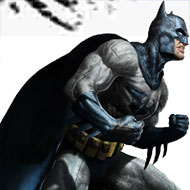 Batman Survivor
