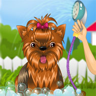 Doggy Day Spa