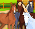 Horsecare Apprenticeship
