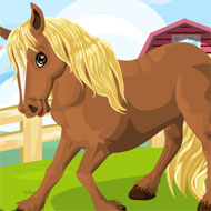 My Brave Horse