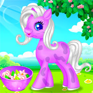 Pony Grooming Salon
