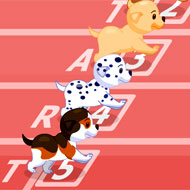 Puppy Racer