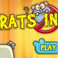 Rats Invasion