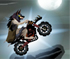 Werewolf Rider